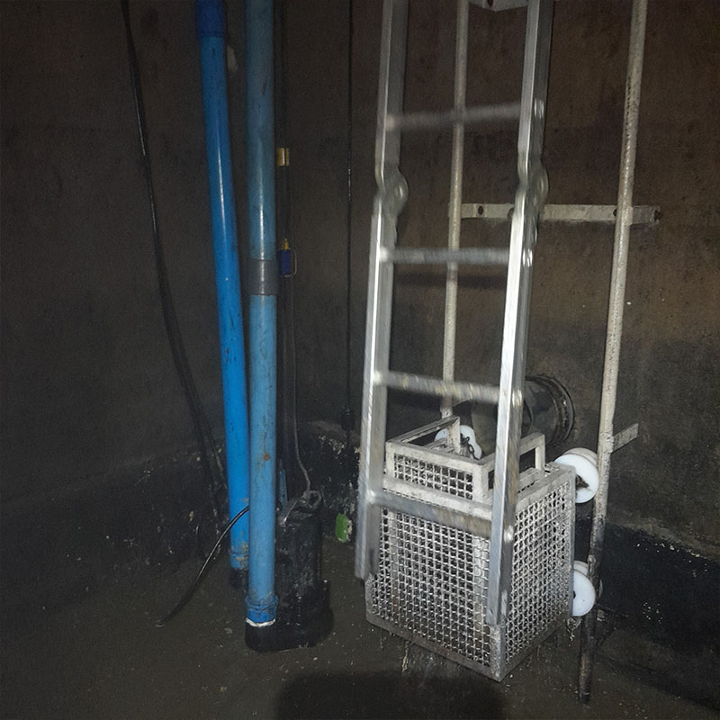 Fabricacion de Canastillos y limpieza