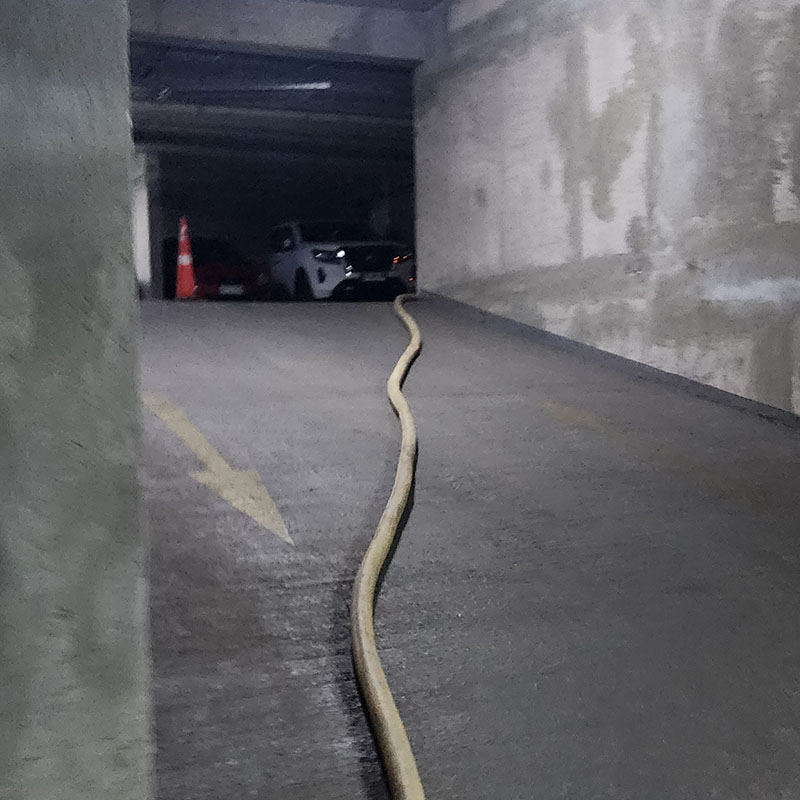 Limpieza de camaras de edificio4