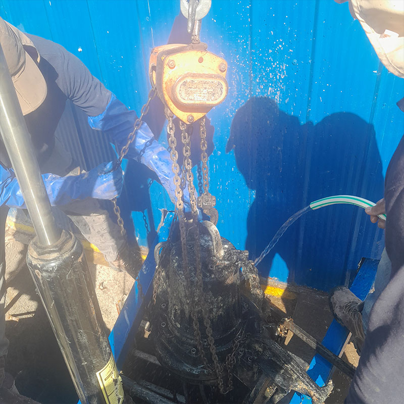 Mantencion De Bombas Sanitarias 2